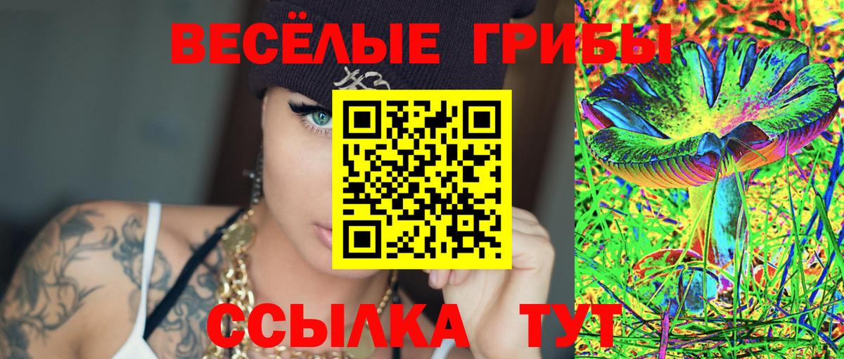 Чусовой  Псилоцибиновые грибы Magic Shrooms  Псилоцибиновые грибы Psilocybine cubensis  Вход с VPN 